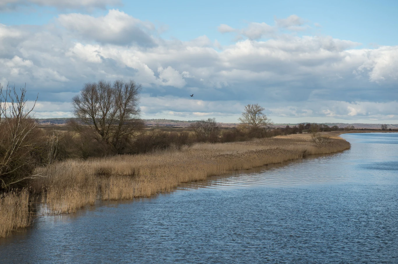 Obszar chroniony Gęsi Bastion pod Starą Rudnicą stanowi żerowisko trzynastu gatunków kaczek, chruścieli, czterech gatunków perkozów, bociana czarnego, rybołowa i bielika i innych ptaków.