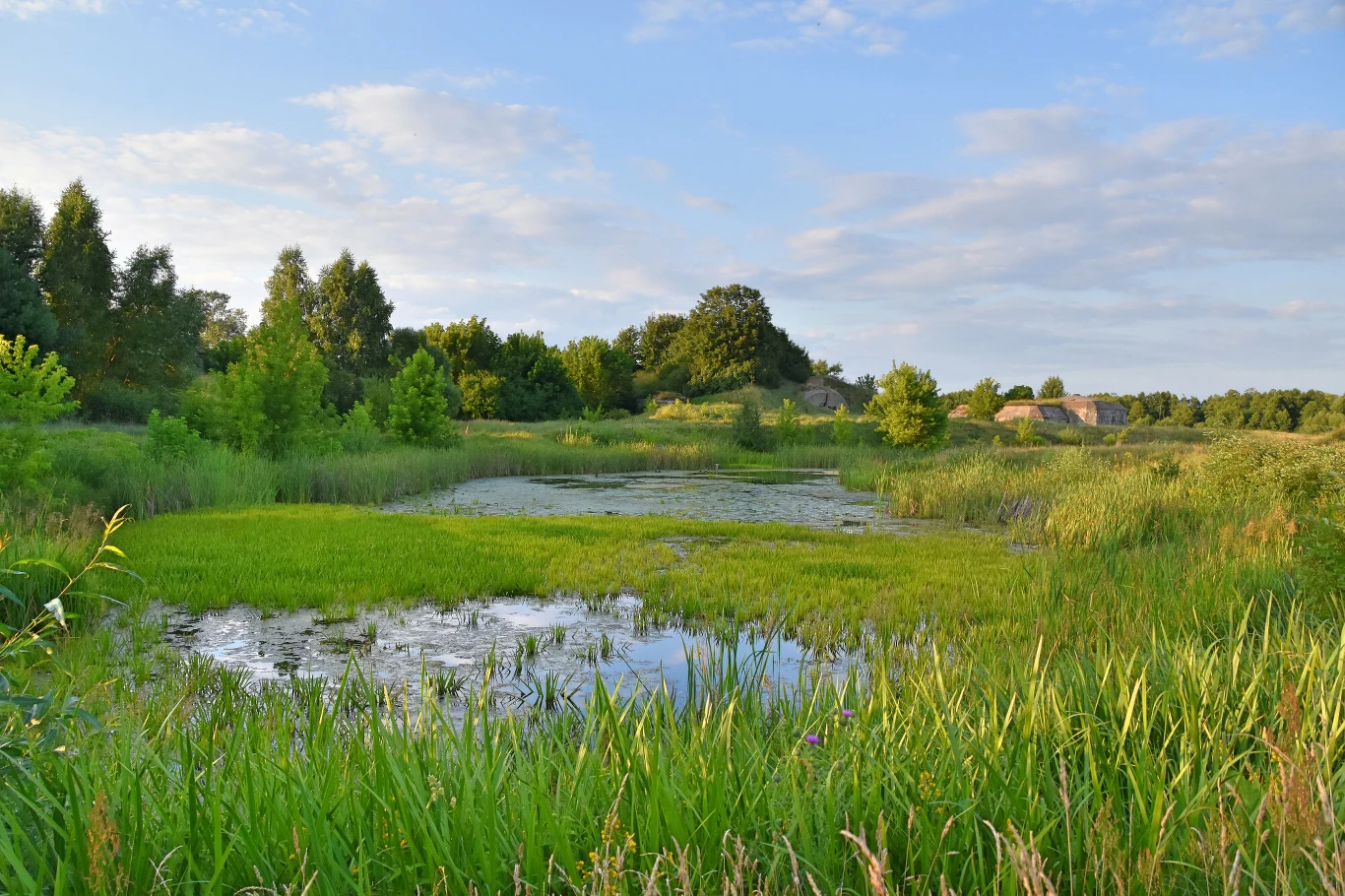  W ciągu 50 lat na całym świecie zniszczono 35 proc. mokradeł.
