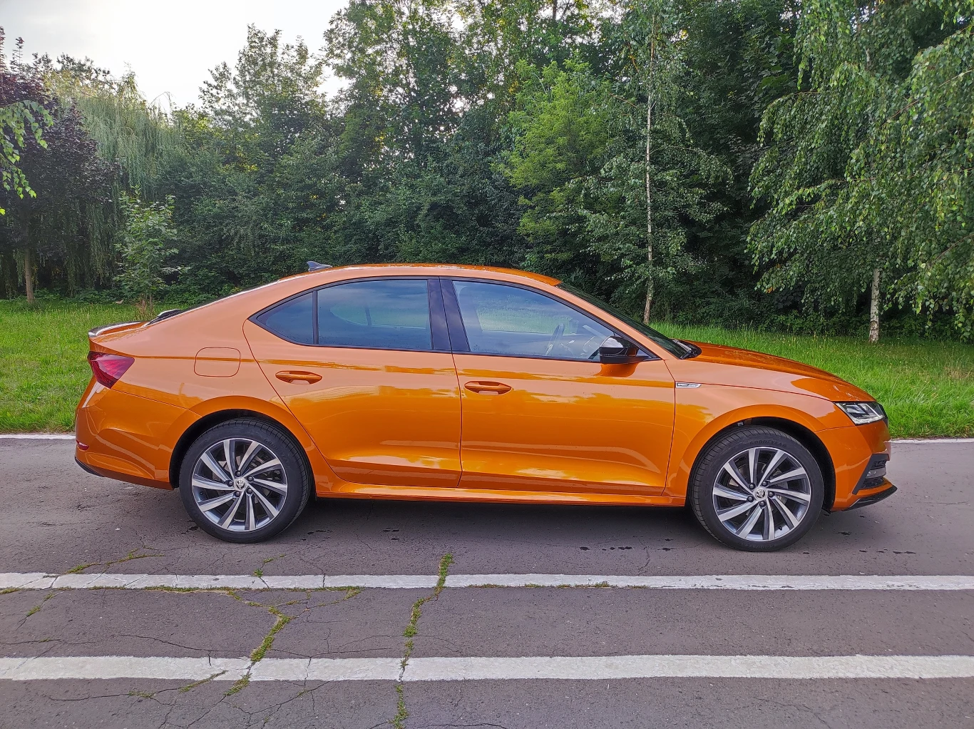 Skoda Octavia Sportline Skoda Octavia Sportline