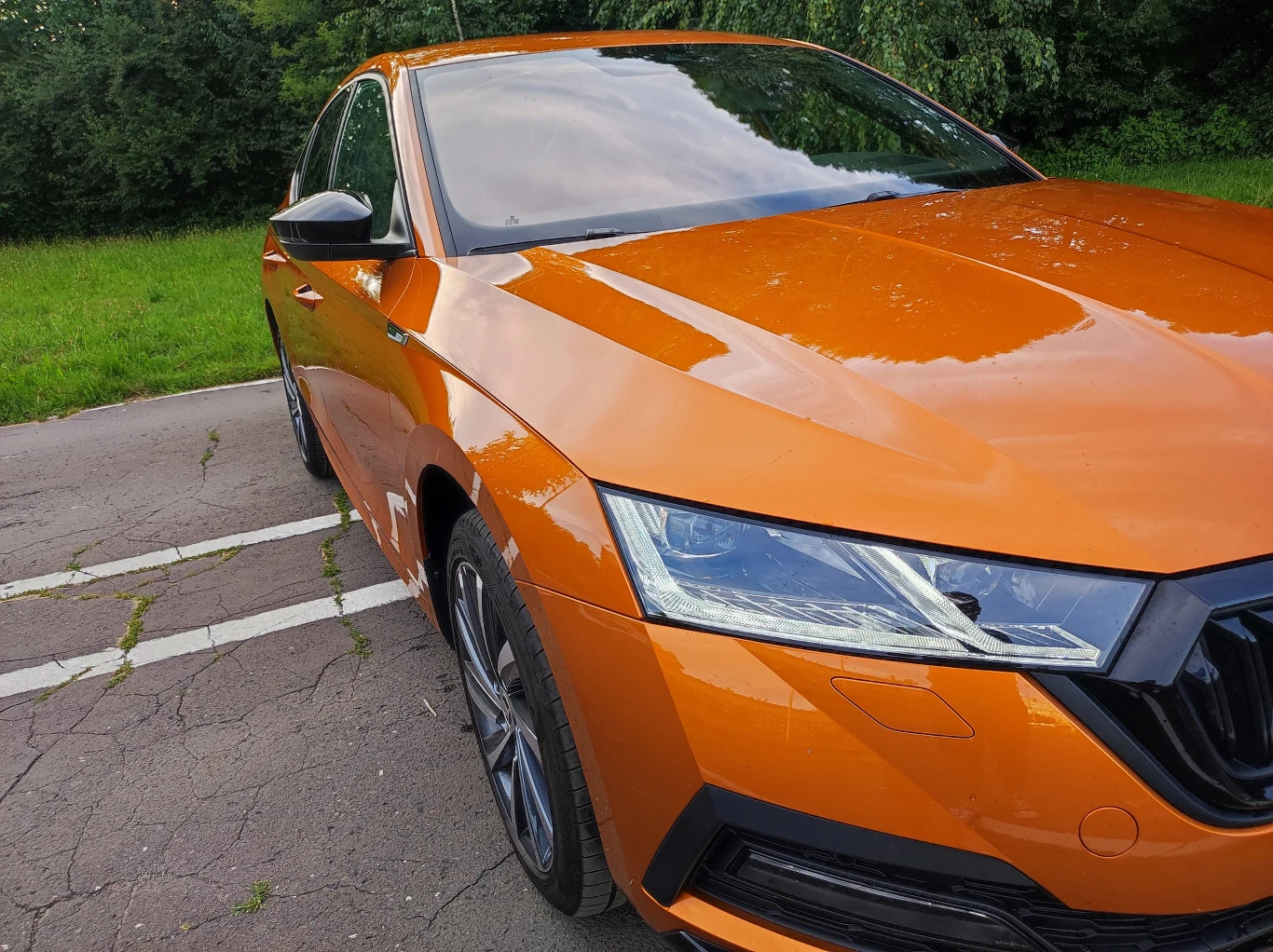 Skoda Octavia Sportline Skoda Octavia Sportline