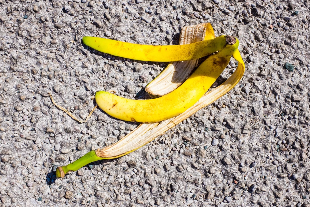 Skórka z banana to źródło cennych składników, które lubi monsteram