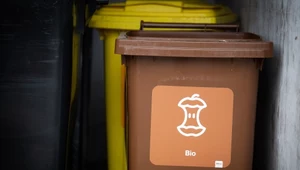 Niewykorzystany potencjał bioodpadów. Polska marnuje miliony złotych