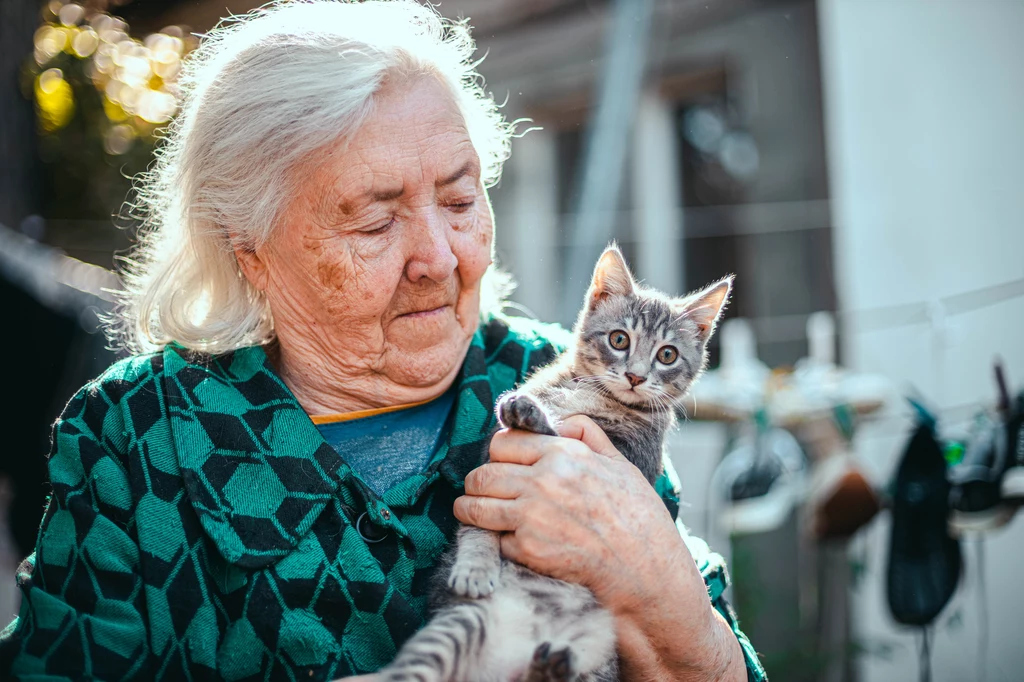 Domowe koty żyją dłużej niż te na wolności 