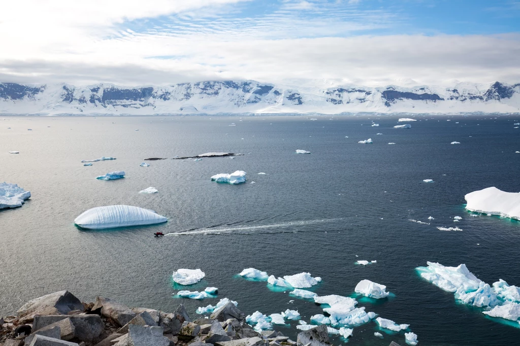 „Jeśli stopimy tylko część pokrywy lodowej Grenlandii, poziom mórz dramatycznie się podniesie”