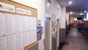 Od połowy 2023 r. są nowe przepisy o prowadzeniu działalności gospodarczej bez rejestracji biznesu