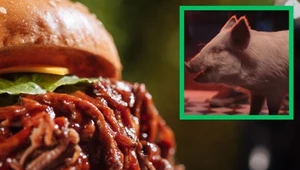 Świnia i tasak zamiast szarpanej wieprzowiny. "Wegańska" reklama zachęca do polemiki