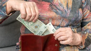 Każdy pracujący ma szansę na znacznie wyższą emeryturę. ZUS wskazuje, jak to zrobić