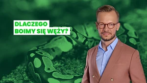 Jak smakuje człowiek? Fakty i mity o wężach