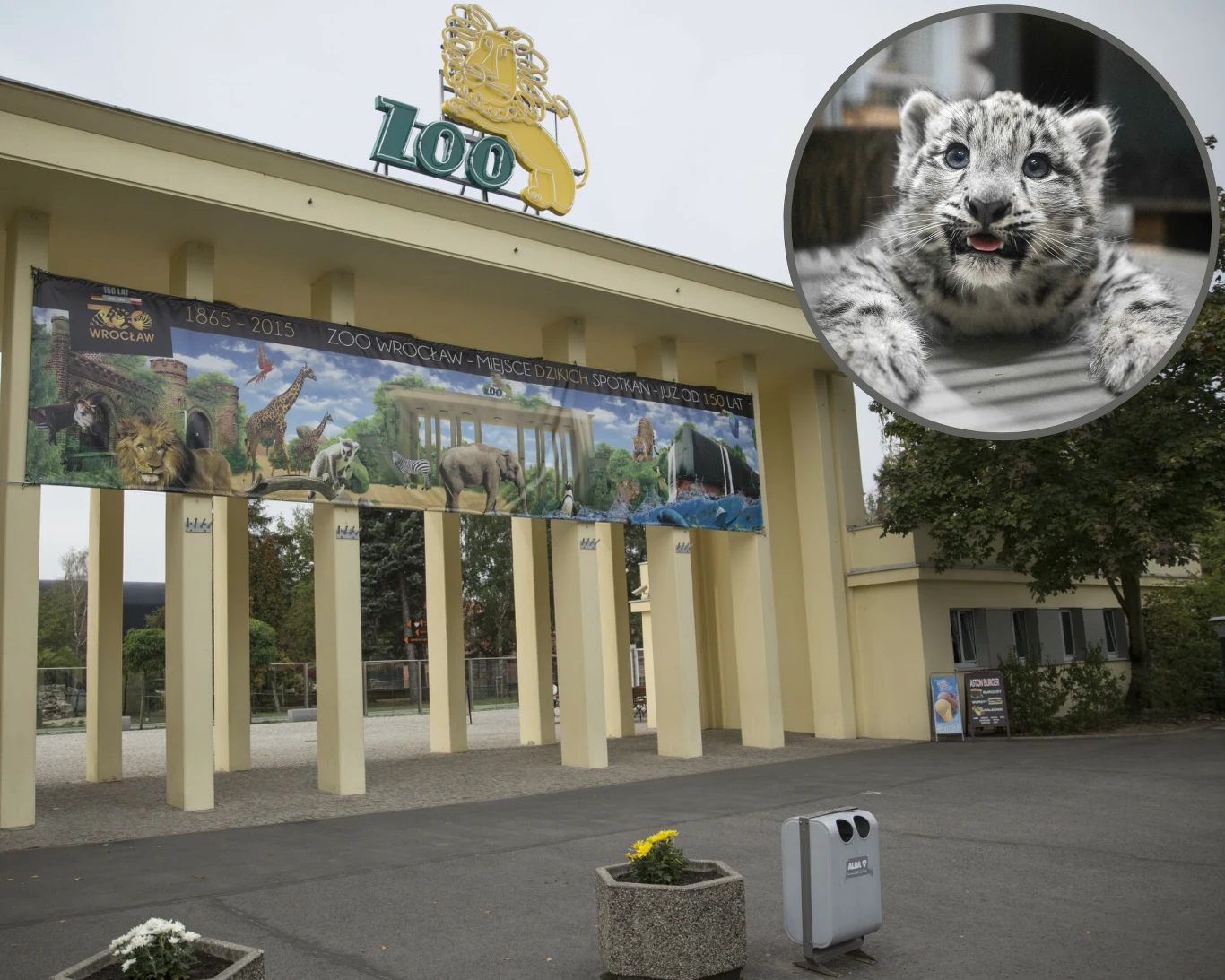We wrocławskim zoo pojawiły się najsłodsze zwierzęta na świecie We wrocławskim zoo pojawiły się najsłodsze zwierzęta na świecie