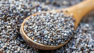 Nasiona chia są uważane za dobre źródło kwasów tłuszczowych omega-3, zwłaszcza kwasu alfa-linolenowego (ALA)