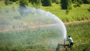 Chłodne lato nie wyklucza zmian klimatu. Polska się ociepla