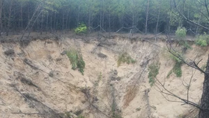 Jedno z zapadlisk na terenie nadleśnictwa Olkusz