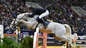 Dziwne zachowanie jeźdźców w Paryżu, konie specjalnie uderzają w przeszkody. Oto powód