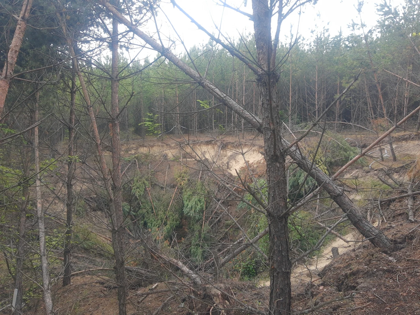 Częstotliwość powstawania kolejnych zapadlisk jest niepokojąca Częstotliwość powstawania kolejnych zapadlisk jest niepokojąca