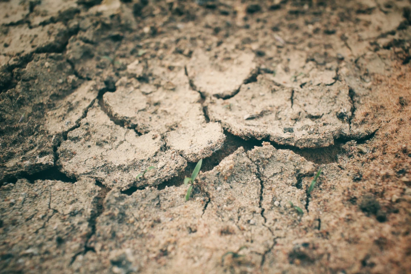  Czułość klimatyczna nie jest wartością absolutną – zależy od stanu planety