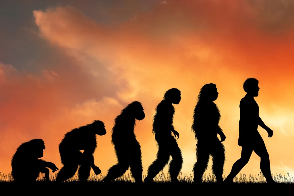 Czy człowiek rzeczywiście pochodzi od małpy?
