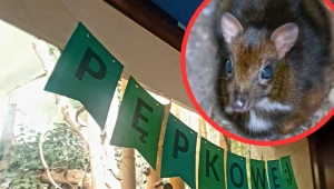 Malec sprawił wielką radość wszystkim, którzy czekali na jego narodziny