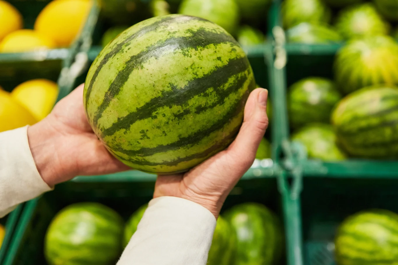 Jest prosty sposób, jak sprawdzić czy arbuz jest zdatny do spożycia Jest prosty sposób, jak sprawdzić czy arbuz jest zdatny do spożycia