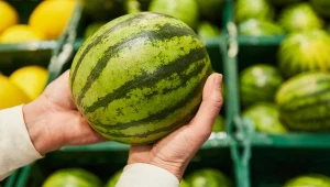 Kupiłeś arbuza, który jest niedojrzały? Następnym razem sprawdź owoc w ten sposób