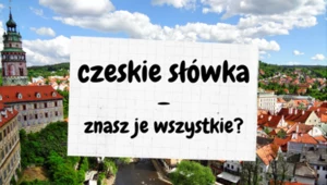 Żeby nie zginąć jak... ciotka w Czechach zapisz sobie te kilka czeskich słówek