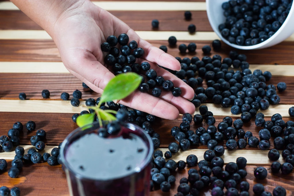 Jak przygotować domowy sok z owoców aronii?