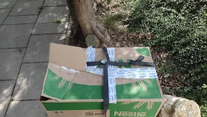 W oknie życia w Krakowie zostawiono tajemnicze pudło. W środku osiem kociąt