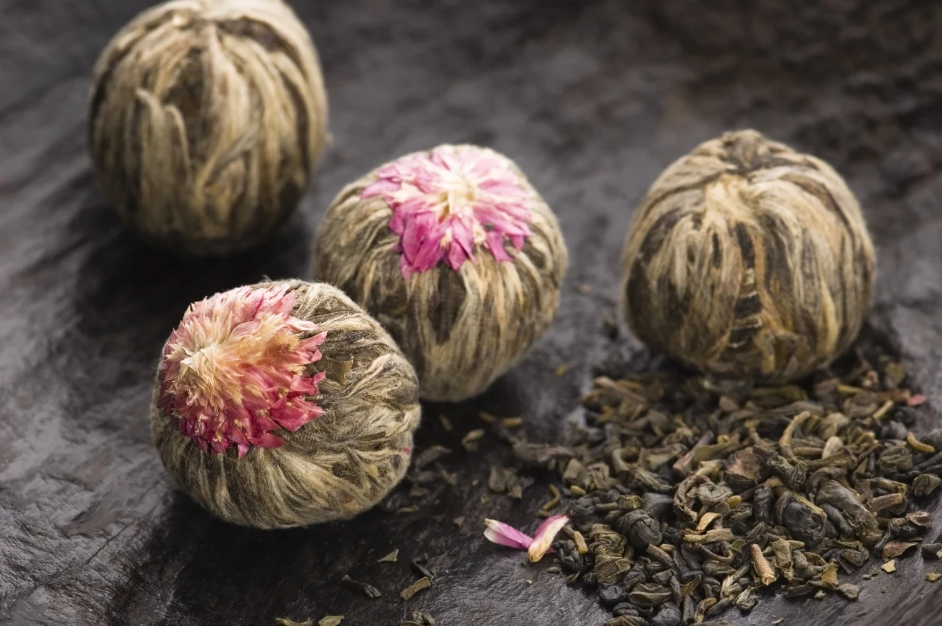 Róża Jerycha, zmartwychwstanka Róża Jerycha, zmartwychwstanka