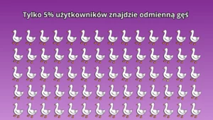 Zadanie na spostrzegawczość. 95 proc. użytkowników na nim poległo