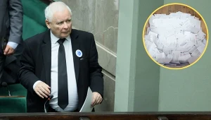 Problem z pierwszym pytaniem w referendum. "Daleko idące uproszczenie"