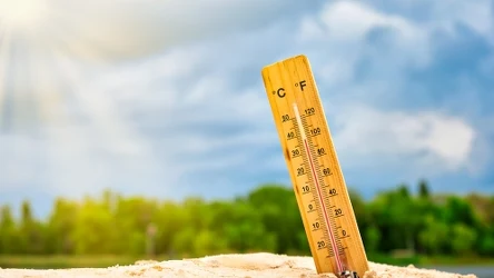 Afrykańskie upały ponownie uderzą w Polskę.