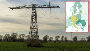 Cena prądu w Polsce jest niższa od średniej w UE. Gorzej robi się, gdy weźmiemy pod uwagę siłę nabywczą
