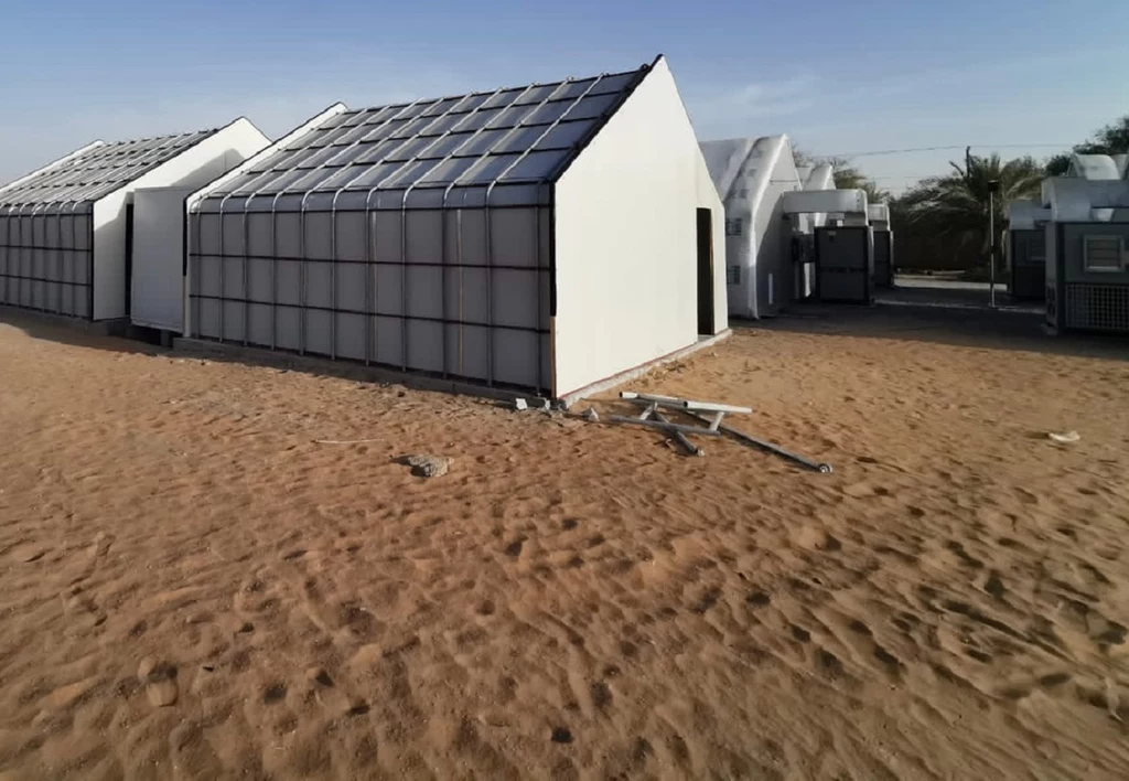 Startup Below Farm z Abu Zabi opracował technologię, która pozwala na uprawę grzybów w pustynnych warunkach. Wśród jego założycieli jest dwoje Polaków
