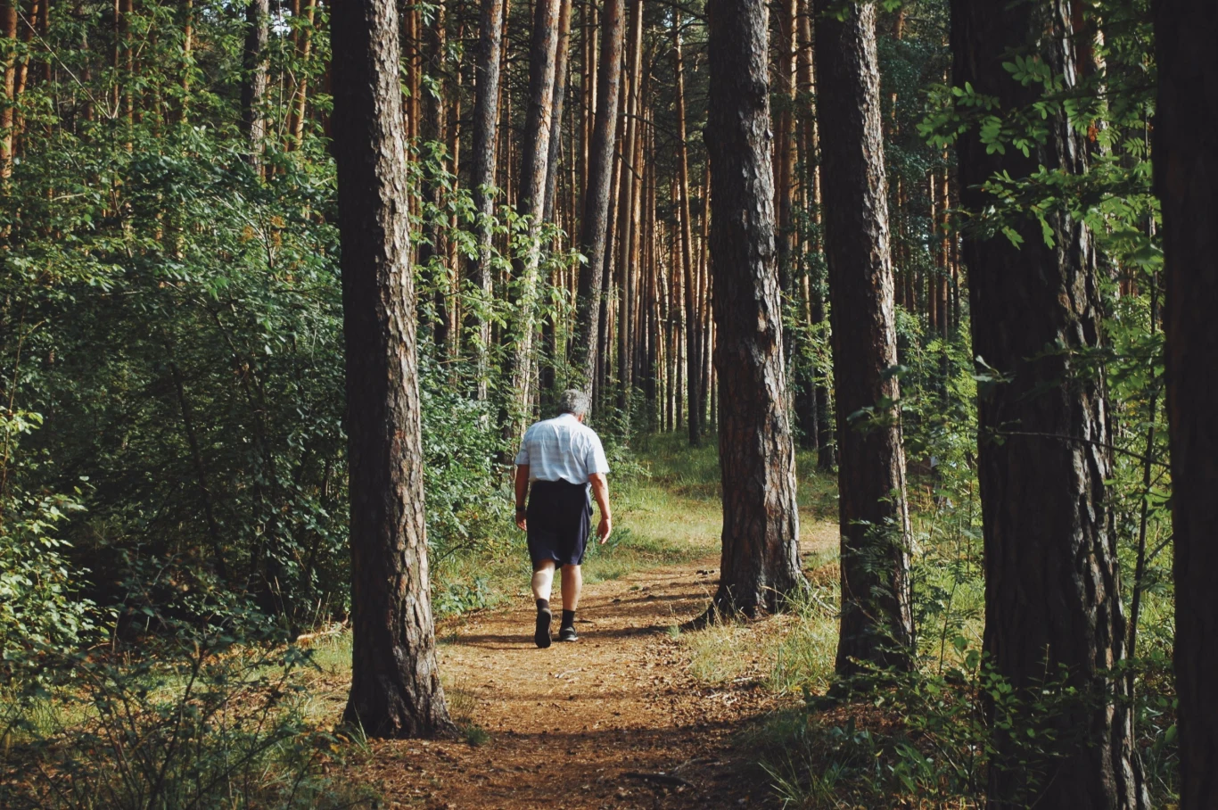 Podczas grzybobrania musimy zachować czujność. W przeciwnym razie możemy zebrać trujące grzyby