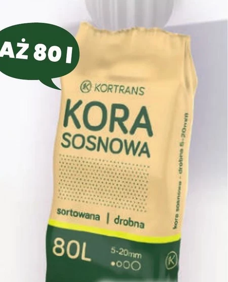 Kora sosnowa