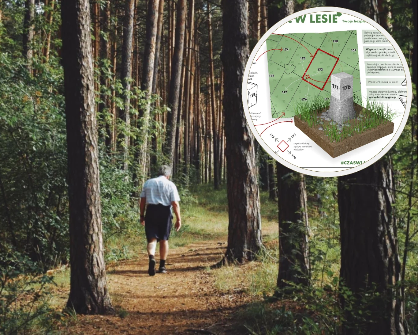 Co zrobić, gdy zgubimy się w lesie, a nie mamy przy sobie telefonu? Co zrobić, gdy zgubimy się w lesie, a nie mamy przy sobie telefonu?