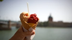 Lody (zdj. ilustracyjne).