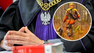 Sąd warunkowo umorzył sprawę myśliwego, który zabił dwa łosie, myląc je z sarnami i jeleniami