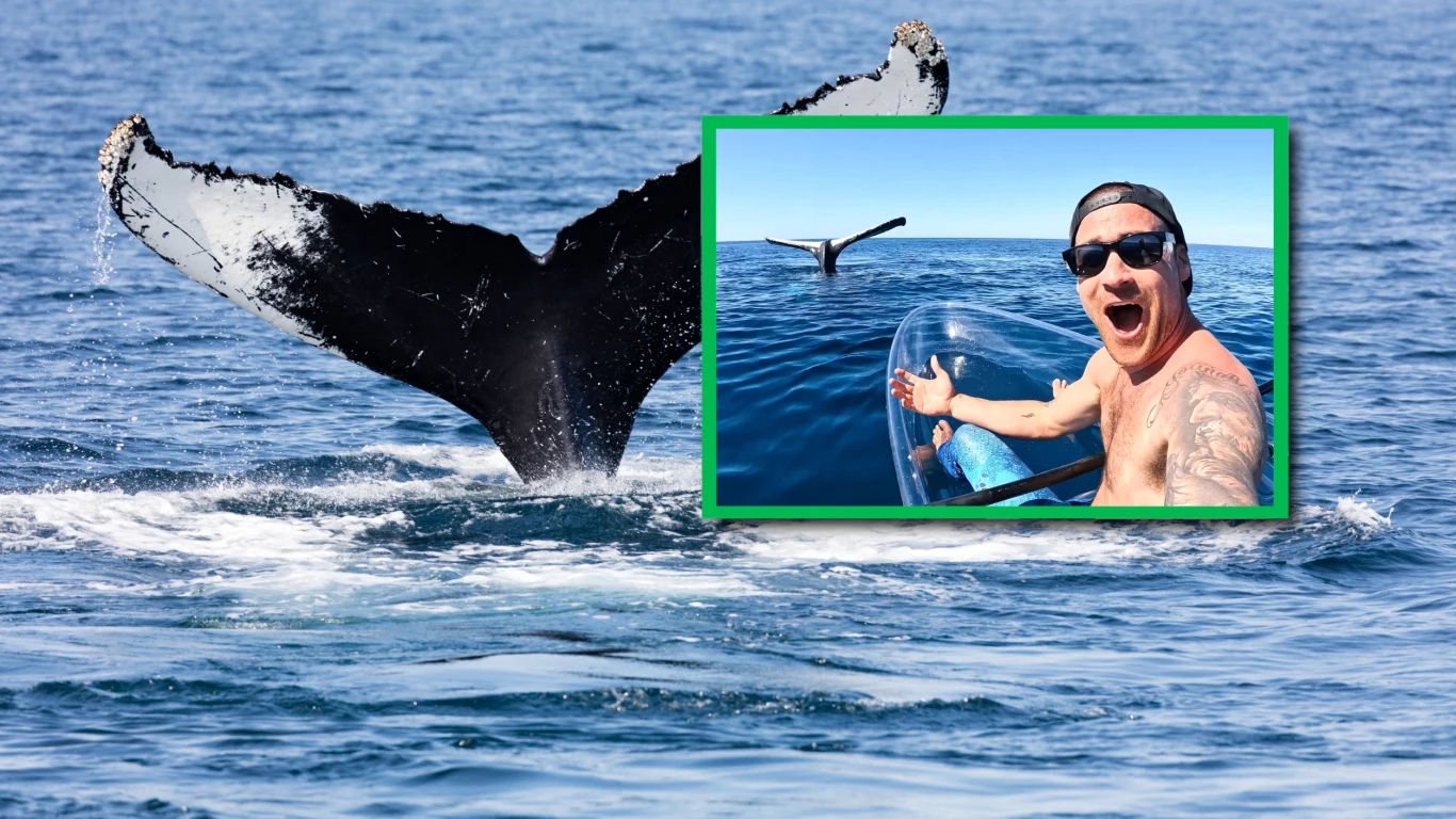 Mężczyzna nie mógł uwierzyć własnym oczom. "To najdziwniejsza rzecz na świecie" - skomentował swoją przygodę Mężczyzna nie mógł uwierzyć własnym oczom. "To najdziwniejsza rzecz na świecie" - skomentował swoją przygodę