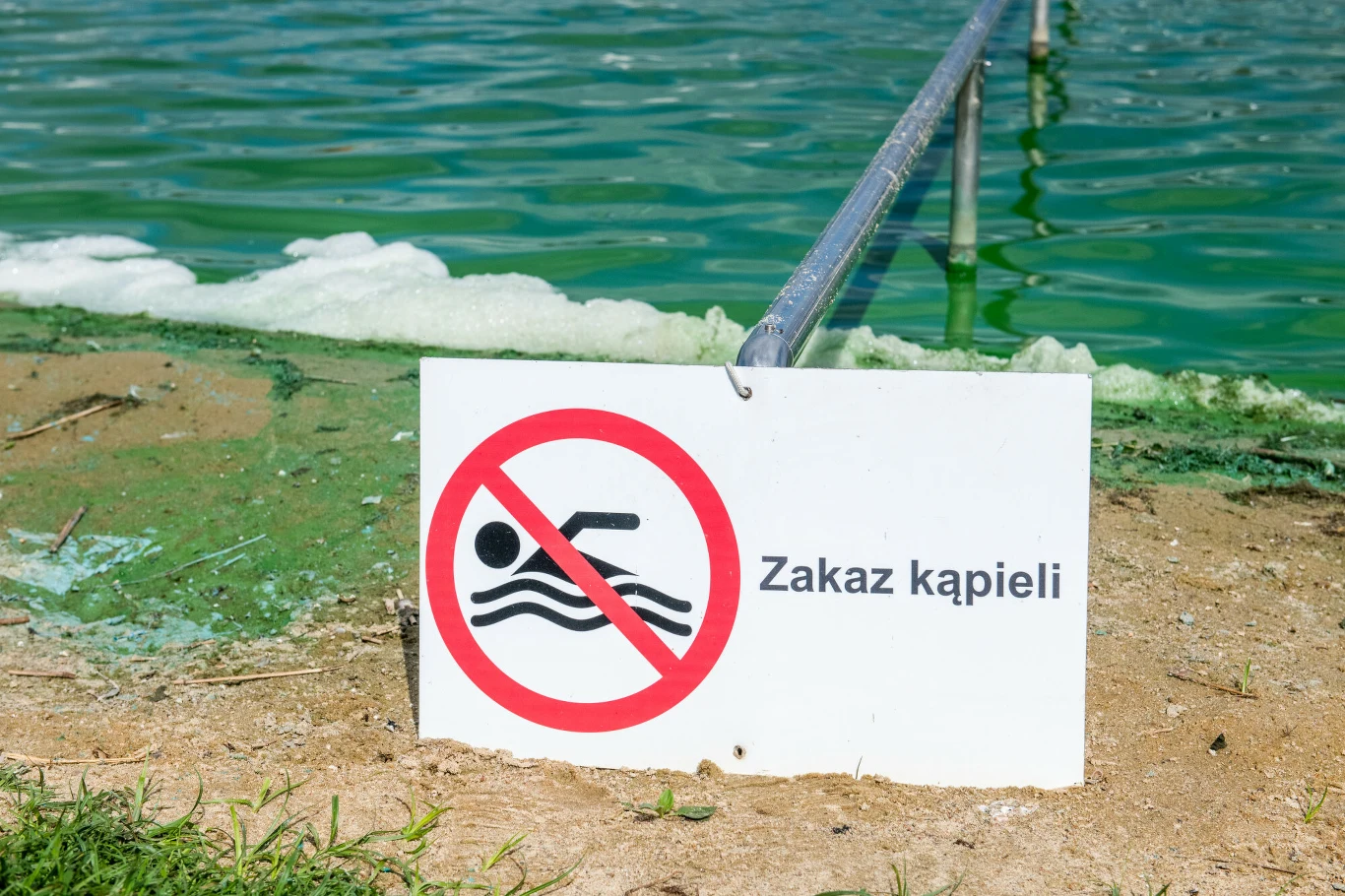 Gdzie są sinice 2023? Te kąpieliska omijaj szerokim łukiem