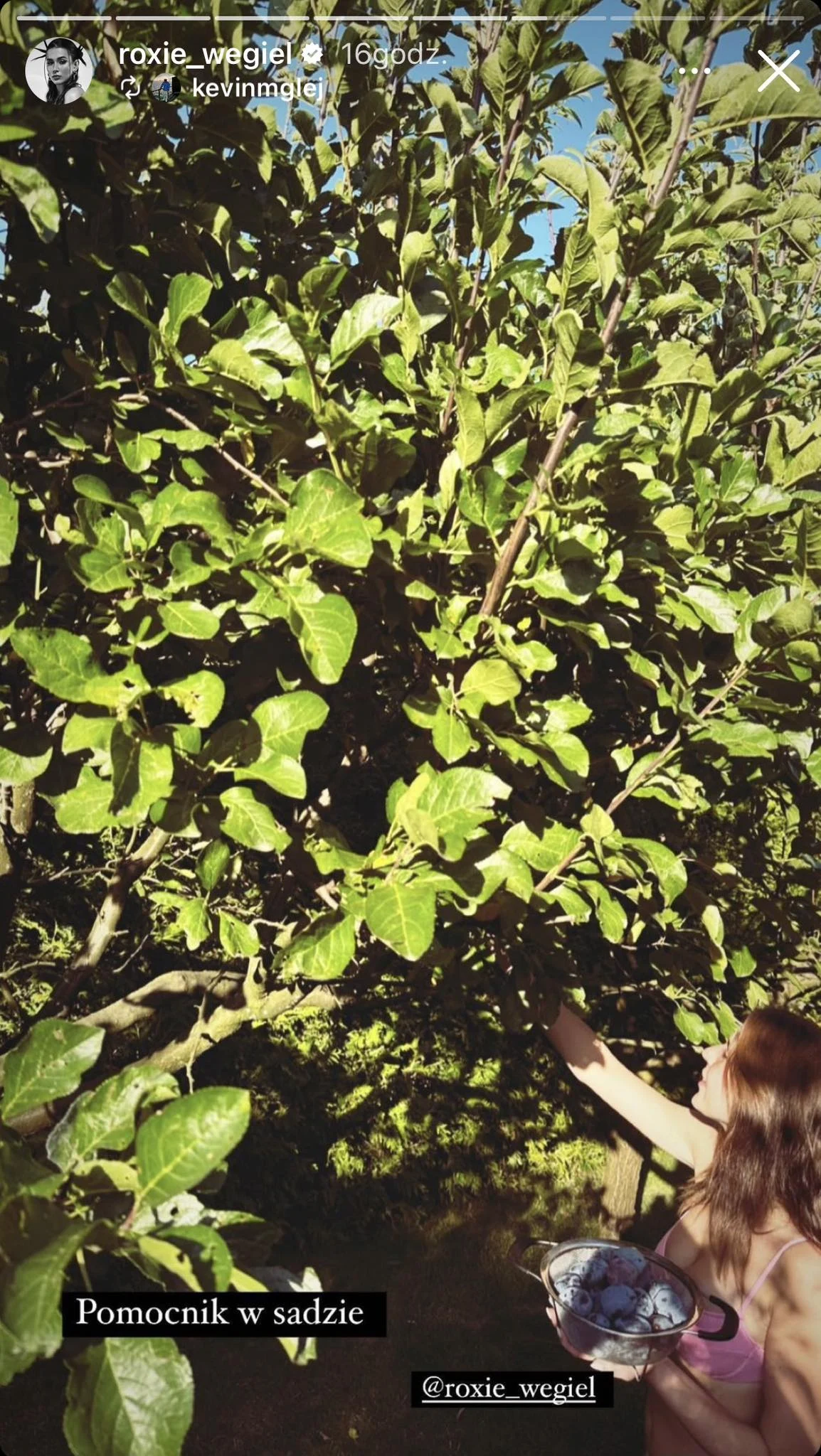 Roksana węgiel z partnerem w sadzie Roksana węgiel z partnerem w sadzie