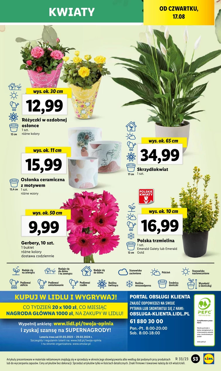 leaflet page preview image
