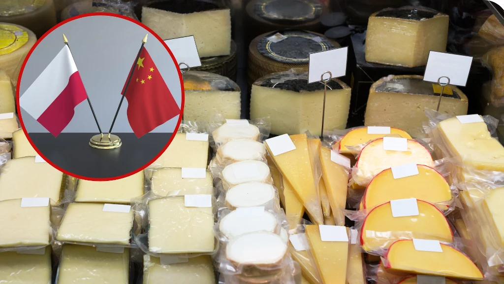 Polskie sery coraz bardziej popularne w Chinach.