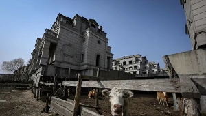 Porzucone osiedle State Guest Mansions