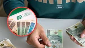 Będzie można w jednym miejscu sprawdzić zarówno konto w ZUS, jak i prywatne oszczędności