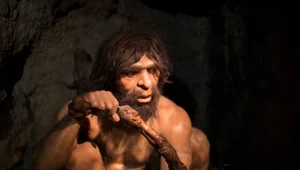 Kuchnia neandertalczyków. Jak gotowali nasi dawni krewni?