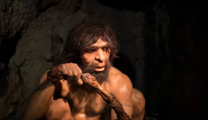 Naukowcy odkryli kolejną tajemnicę dotyczącą zachowania neandertalczyków