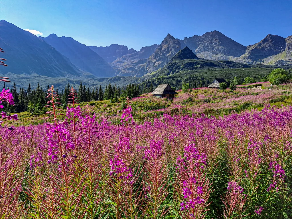 Tatry