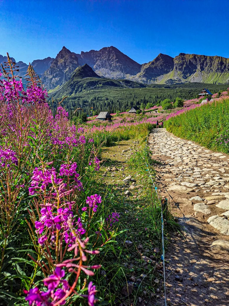 Tatry