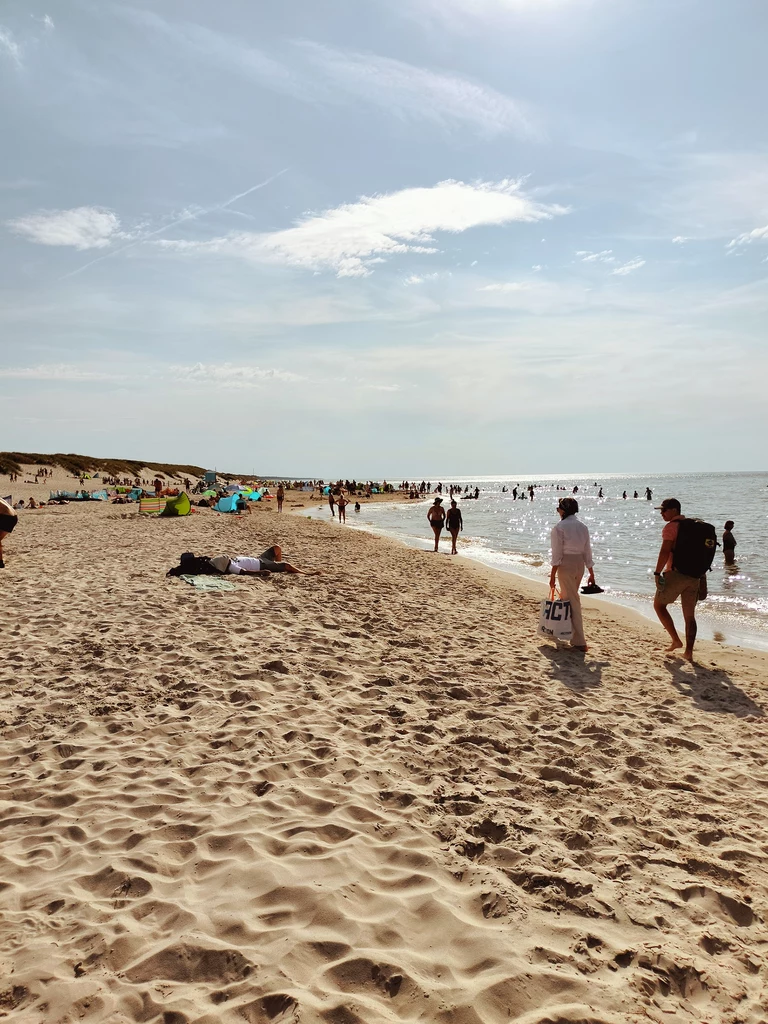 Piękna plaża w Czołpinie położona jest za lasem, który w połowie pochłonęło morze 