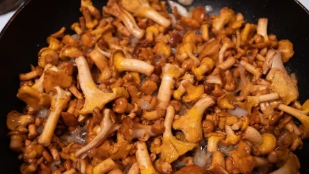 Zawsze solisz kurki i to w wysokiej temperaturze? Popełniasz duży błąd, przez który grzyby tracą swoje cenne właściwości